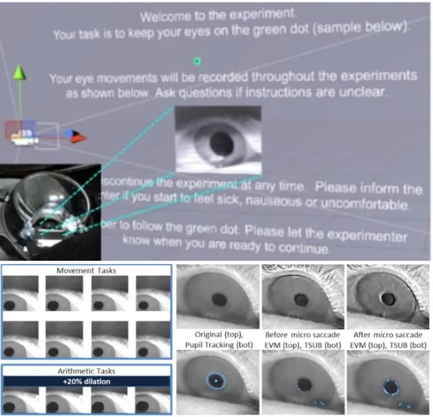 Emulation of Physician Tasks in VR (2017)