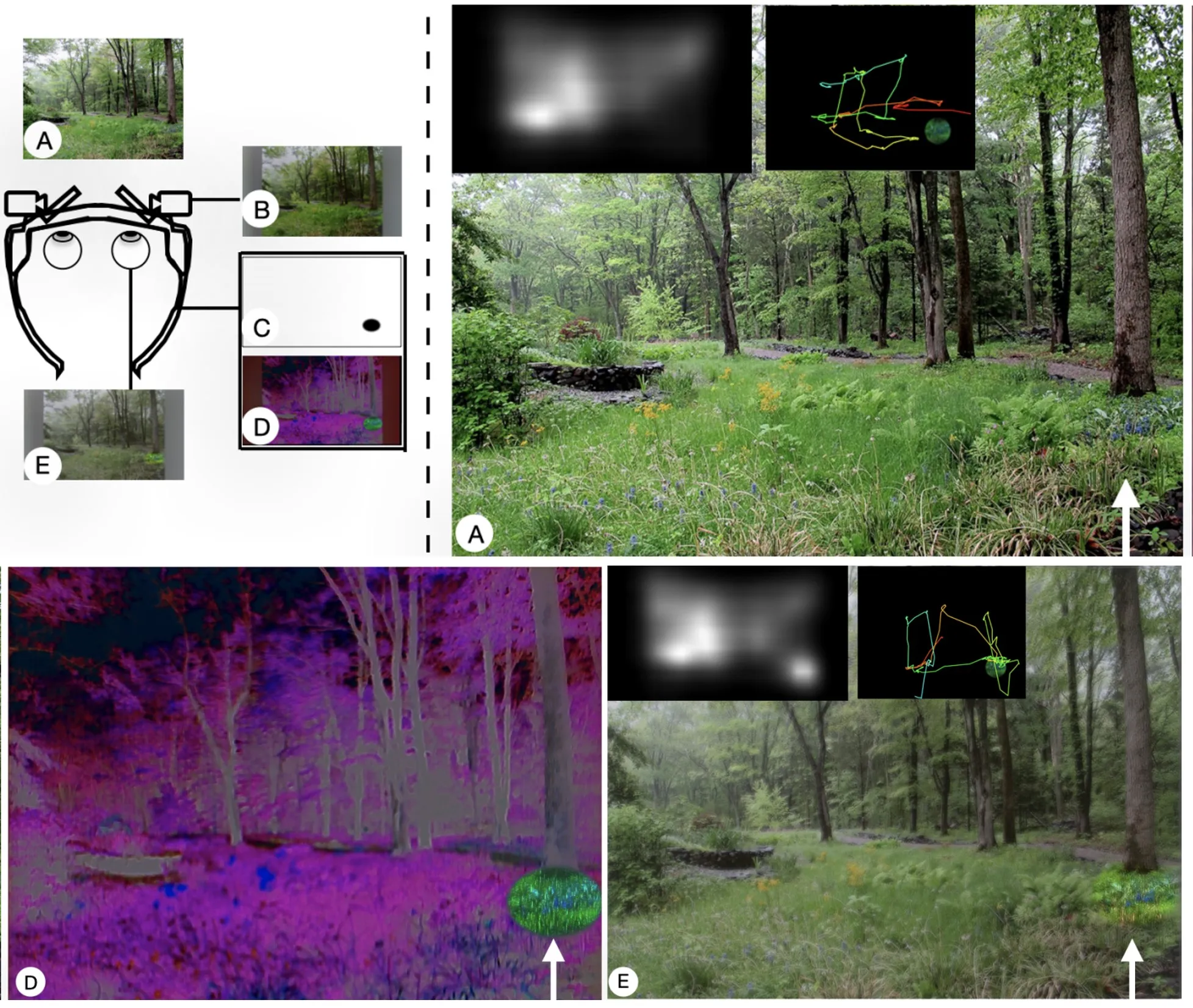 Saliency Modulation (2022)