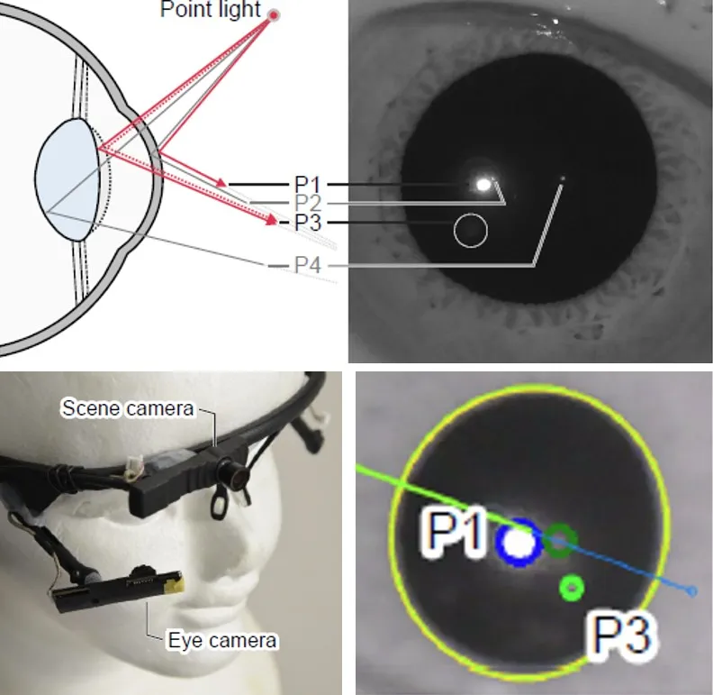 Monocular Focus Estimation (2017)