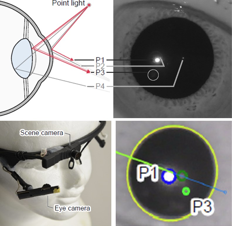 Monocular Focus Estimation (2017)