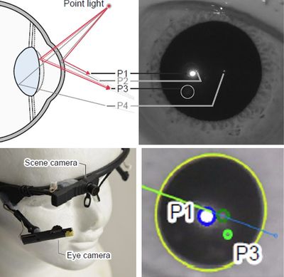 Monocular Focus Estimation (2017)